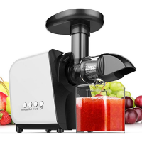 Juicer, Slow Masticating Juicer Extractor with Reverse Function, Cold Press Juicer Machine with Quiet Motor, Juice Jug and Brush